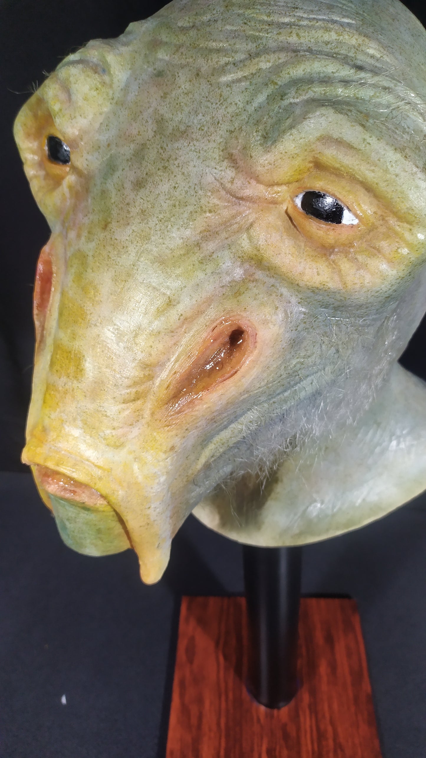 C AI TRENALLY LATEX MASK