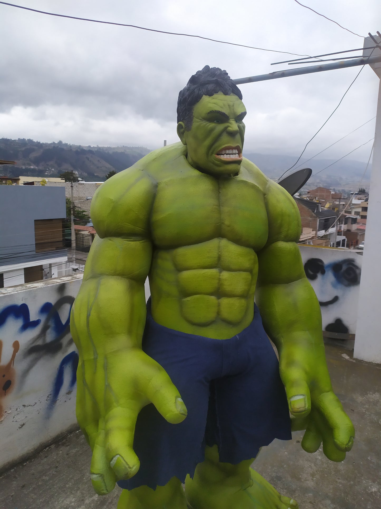 HULK FULL COSTUME